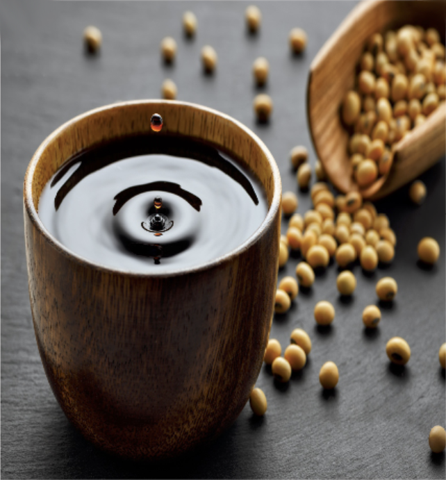 Soya Lecithin